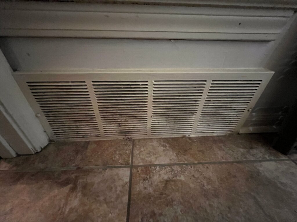 Mold removal and remediation service -serving Northern MS and West TN. Call today for a free quote!